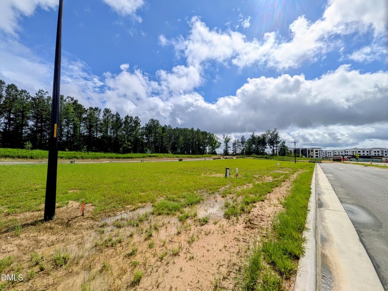 1816 Avett Song Pl, Wendell, NC 27591