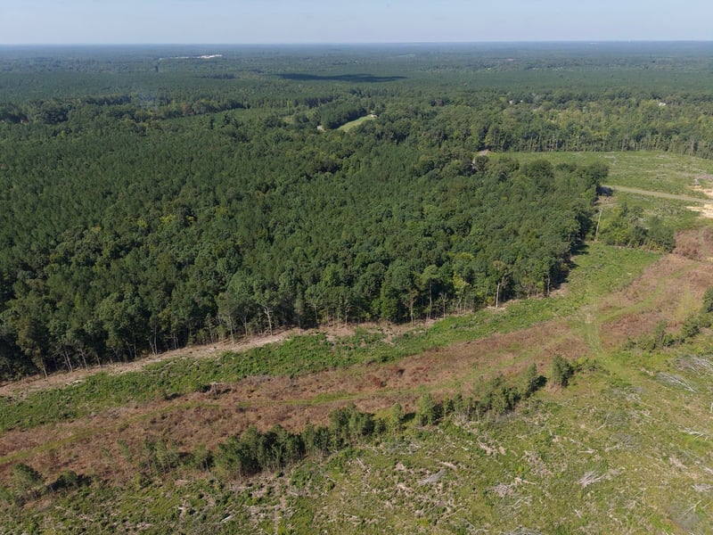 1941 Walter Bright Rd Lot 18425, 18428, 68452, Sanford, NC 27330