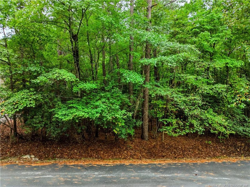 2027 Long Point Trl, Sanford, NC 27332
