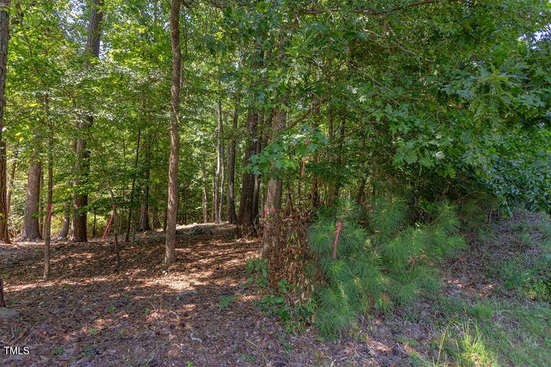 204 Alta Ct Lot 204, Chapel Hill, NC 27514