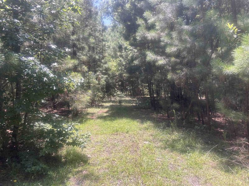 2112 Raintree Dr Lot 21, Clayton, NC 27527
