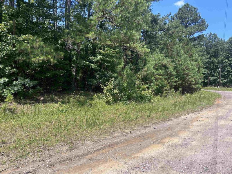 2112 Raintree Dr Lot 21, Clayton, NC 27527