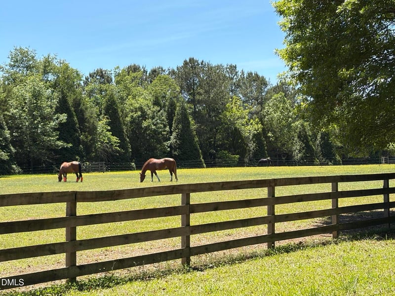 220 Jordan Narron Rd, Selma, NC 27576