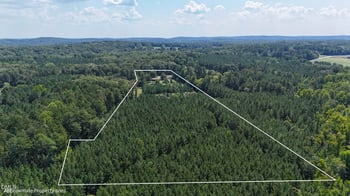 2220 New Sharon Church Rd, Hillsborough, NC 27278
