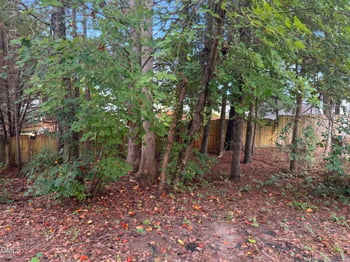 2308 Brasstown Ln, Apex, NC 27502