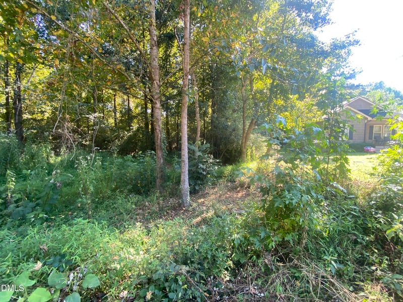 260 Sterling Way Lot 21 and 20, Angier, NC 27501