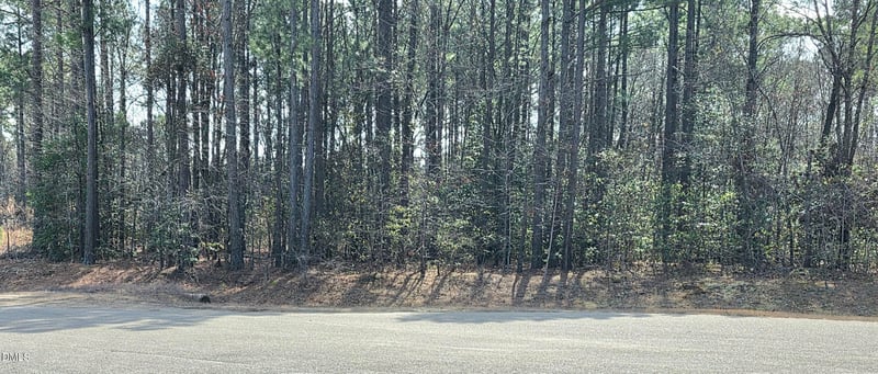 275 Raynor Sands Dr Lot 10, Dunn, NC 28334