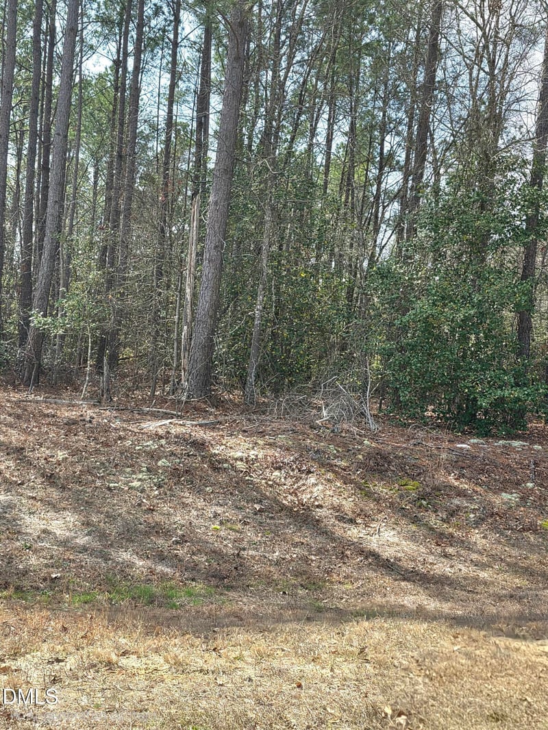 275 Raynor Sands Dr Lot 10, Dunn, NC 28334