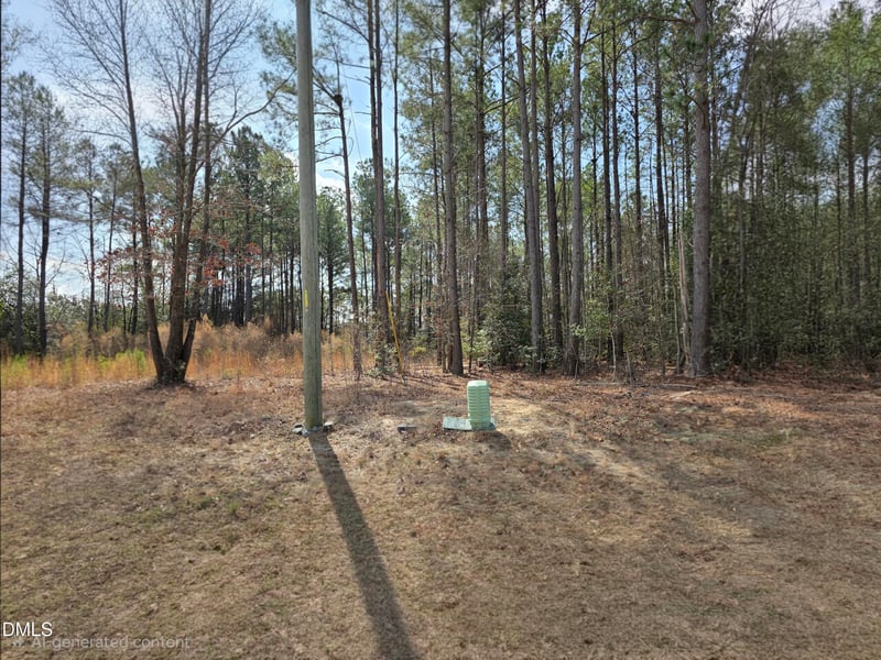 275 Raynor Sands Dr Lot 10, Dunn, NC 28334