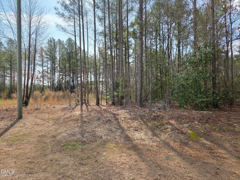 275 Raynor Sands Dr Lot 10, Dunn, NC 28334