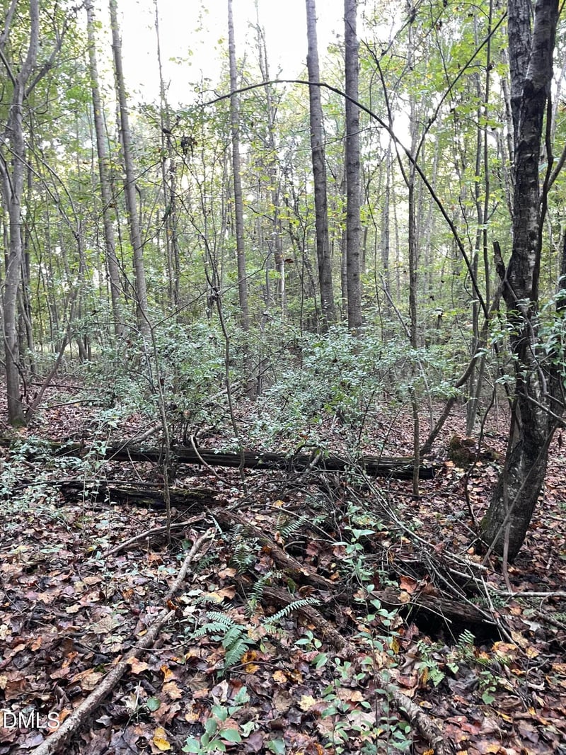 2865 Silk Hope Gum Springs Rd Lot 3, Pittsboro, NC 27312