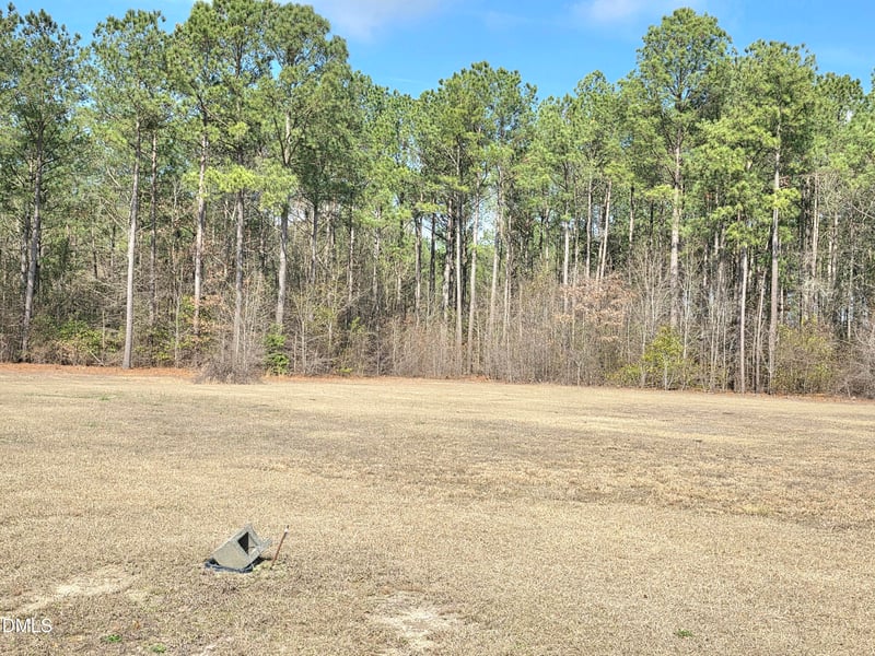290 Raynor Sands Dr Lot 14, Dunn, NC 28334