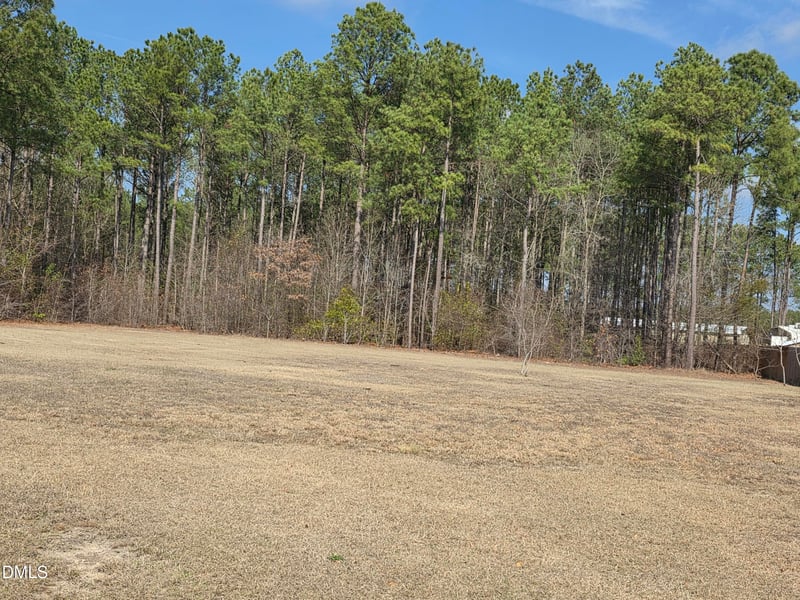 290 Raynor Sands Dr Lot 14, Dunn, NC 28334