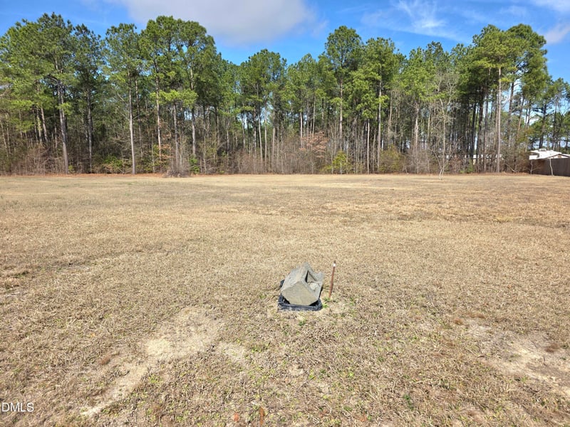 290 Raynor Sands Dr Lot 14, Dunn, NC 28334