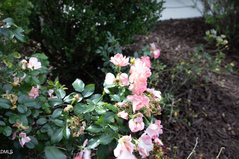 2904 Long Meadow Ln, Durham, NC 27703