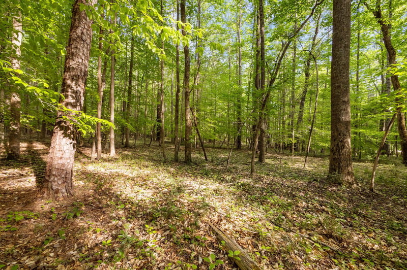 2a Union Grove Church Rd Lot 2A, Chapel Hill, NC 27516