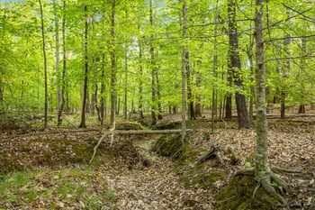 2a Union Grove Church Rd Lot 2A, Chapel Hill, NC 27516
