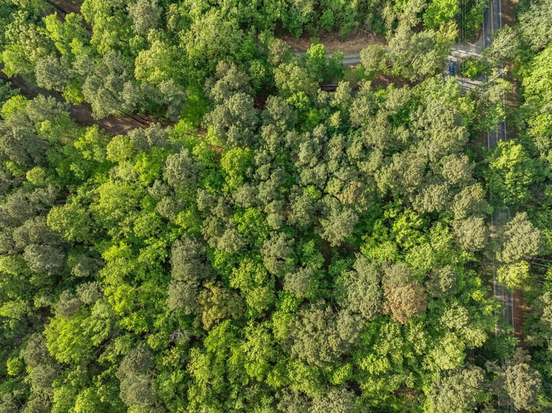 2a Union Grove Church Rd Lot 2A, Chapel Hill, NC 27516
