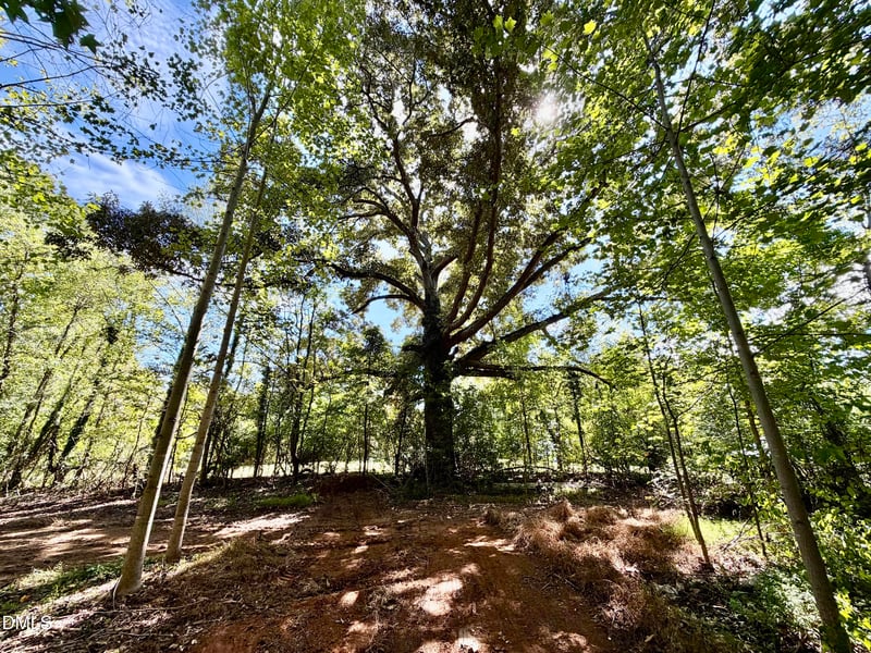 3.97 Acres Woodsdale Rd Lot 3, Roxboro, NC 27573