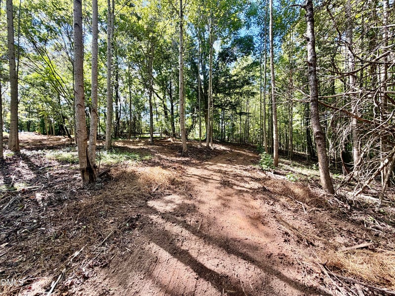 3.97 Acres Woodsdale Rd Lot 3, Roxboro, NC 27573