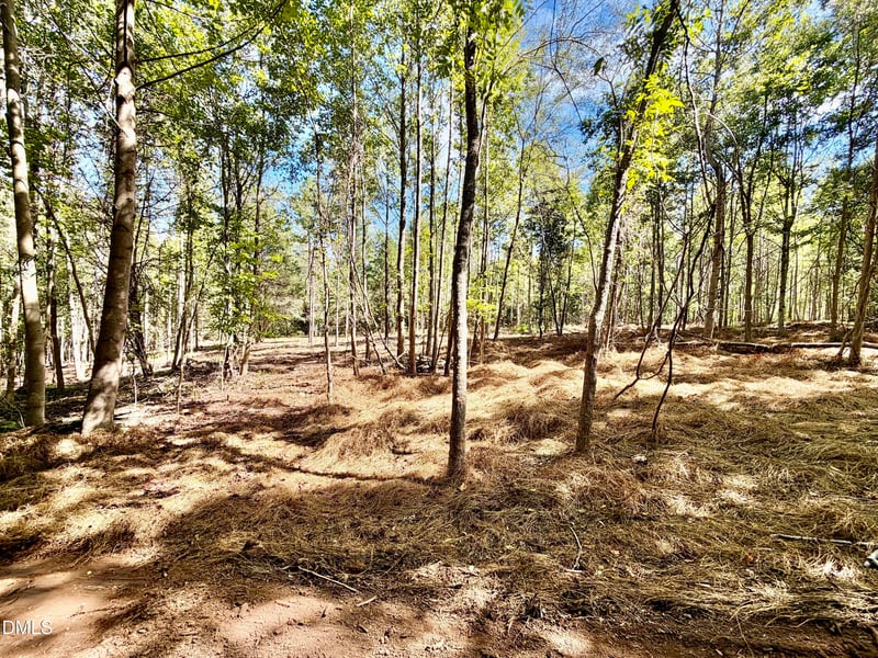 3.97 Acres Woodsdale Rd Lot 3, Roxboro, NC 27573