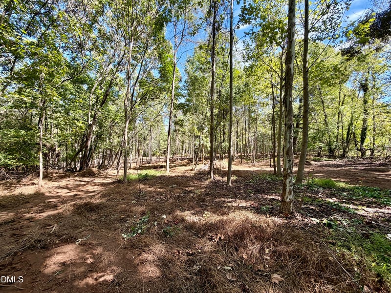 3.97 Acres Woodsdale Rd Lot 3, Roxboro, NC 27573