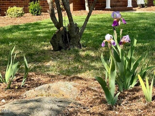 319 Reade Dr, Roxboro, NC 27573