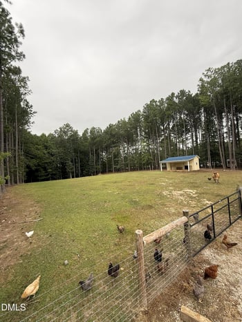 324 T K Allen Rd, Louisburg, NC 27549