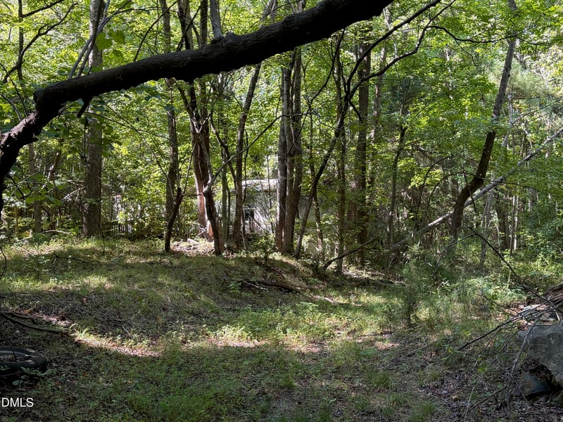 3403 Old Nc 86 Lot 1, Hillsborough, NC 27278