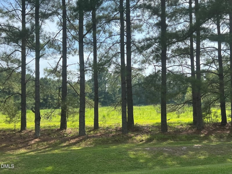 3405 Matthews Mill Pond, Angier, NC 27501