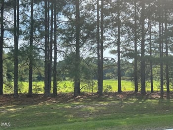 3427 Matthews Mill Pond Rd Lot 4, Angier, NC 27501