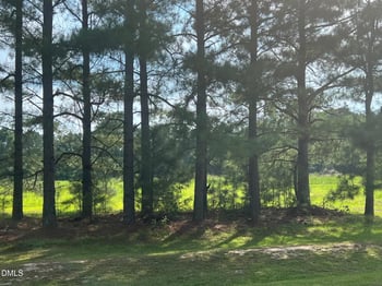 3449 Matthews Mill Pond Rd Lot 5, Angier, NC 27501