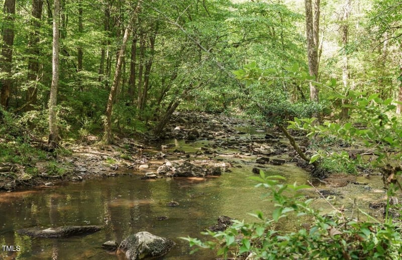 36 Blufftonwood Dr Lot 42, Pittsboro, NC 27312