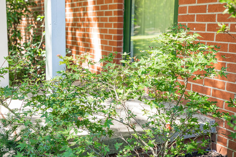 37 S Circle Dr, Chapel Hill, NC 27516