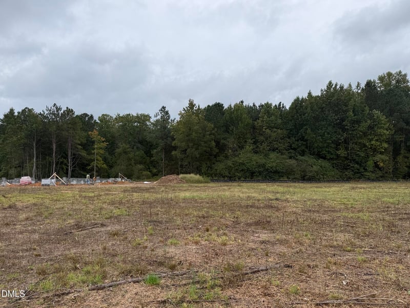 4004 Kingcraig Ln, Zebulon, NC 27597
