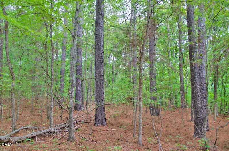 4656 Woodsdale Rd Lot 1, Roxboro, NC 27574
