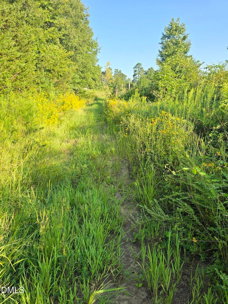 4955 Dailey Store Rd Lot 1, Burlington, NC 27217