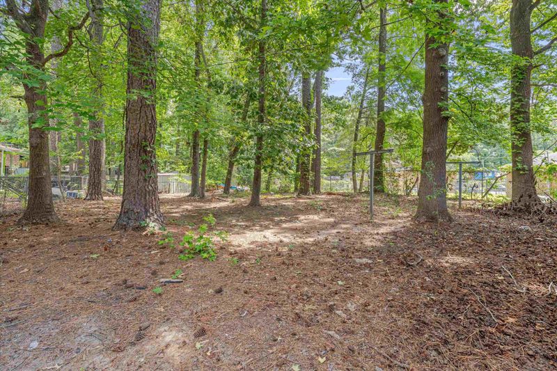 5 Durante Pl, Durham, NC 27704