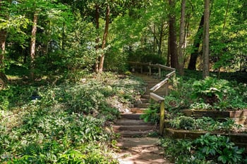 510 Monroe St, Chapel Hill, NC 27516