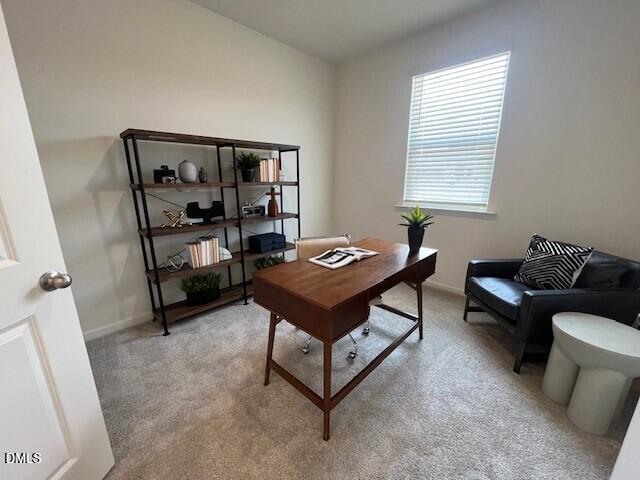 525 Purple Aster St, Youngsville, NC 27596