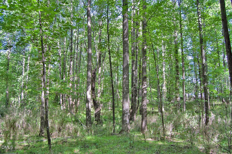 5305 Panther Creek Dr Lot 2, Raleigh, NC 27603