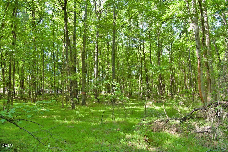 5305 Panther Creek Dr Lot 2, Raleigh, NC 27603