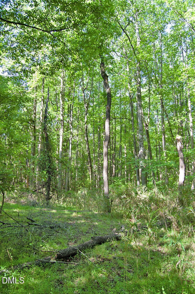 5305 Panther Creek Dr Lot 2, Raleigh, NC 27603