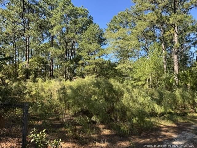5479 Falling Waters Dr, Hope Mills, NC 28348