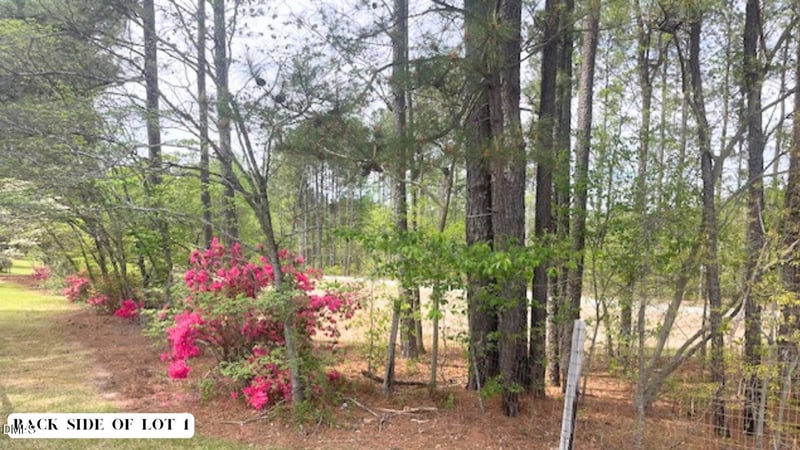 55 Weston Sky Ln Lot 1, Fuquay Varina, NC 27526