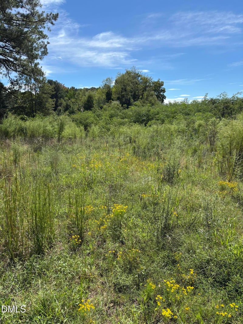 5878 Nc 561 Lot not known, Louisburg, NC 27549