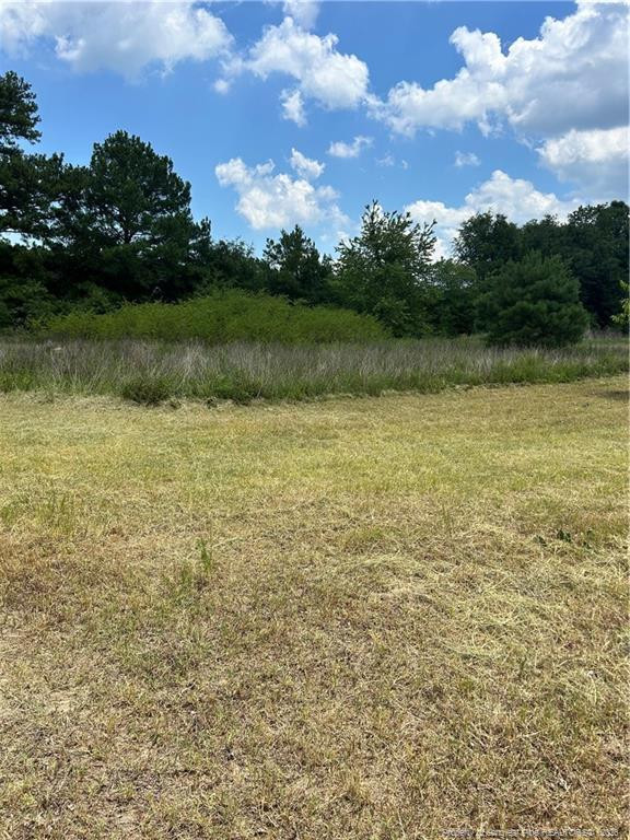 6228 Tabor Church Rd, Fayetteville, NC 28312