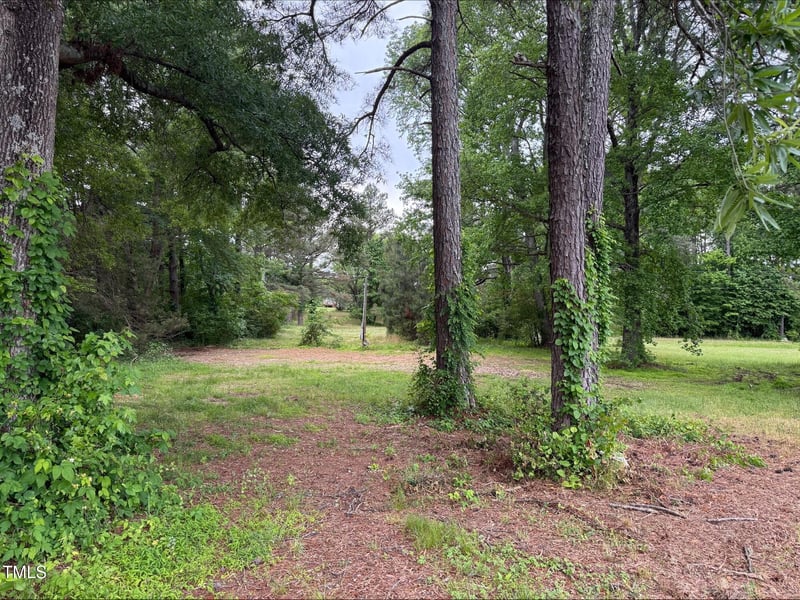 63 Mount Olivet Church Rd Lot 19, Franklinton, NC 27525