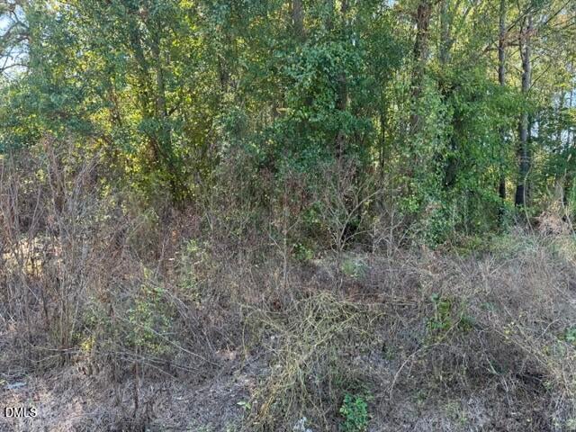 644 Caulton Brown Rd, Lillington, NC 27546