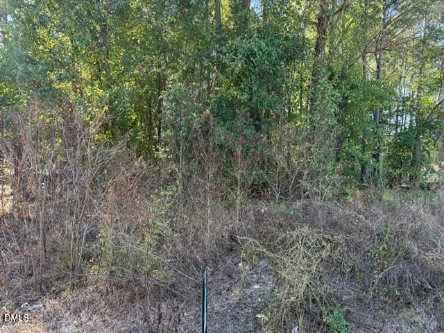 644 Caulton Brown Rd, Lillington, NC 27546